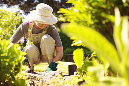 Team introducing professional landscaping services in Ruislip