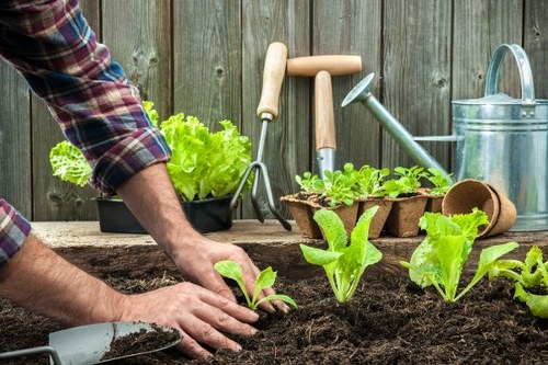 Landscapers communicating safely while working in a garden area