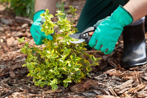 Local Ruislip landscaping team focusing on tailored outdoor garden solutions