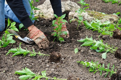Charity reuse collection of usable landscaping materials and timber offcuts