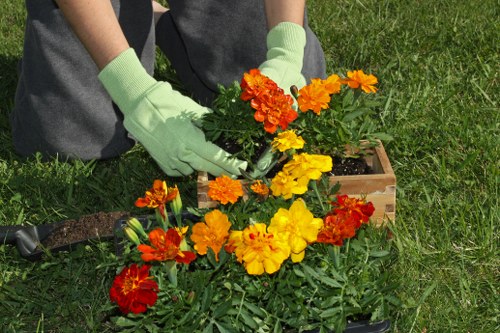 Free quote assessment for a garden near a busy road