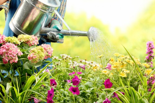 Fresh garden border design for landscaping in Ruislip with layered shrubs and flowers