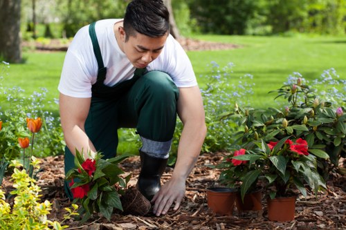 Professional landscaping work supported by a clear health and safety policy