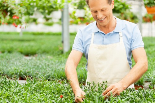 Professional garden design and build service for outdoor spaces in Ruislip