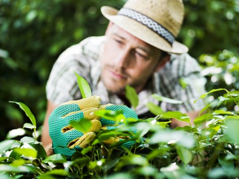 Risk assessment and planning for landscaping services on site