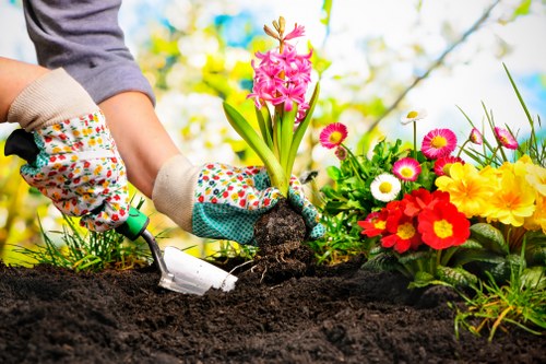 Safe landscaping work with equipment and protective precautions in place
